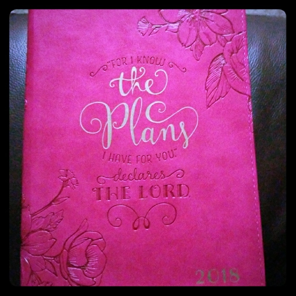 Pink leather 2018 planner